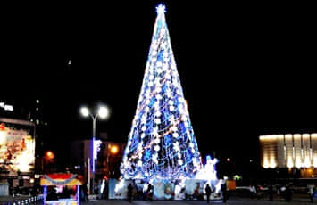 В Краснодаре установили главную новогоднюю елку